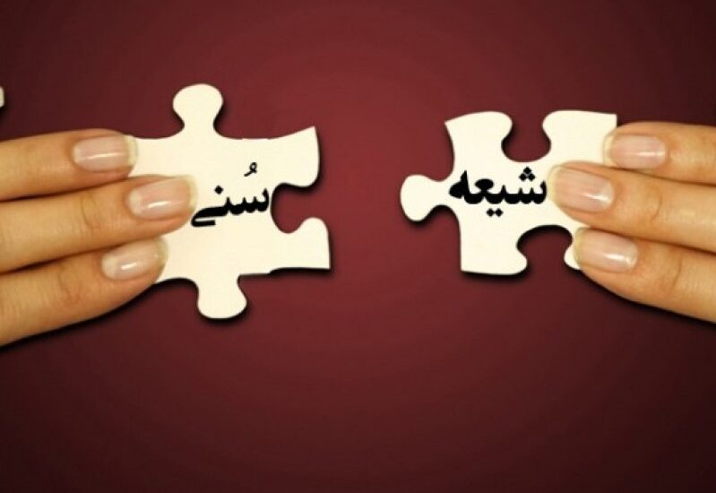 وحدت شیعه و اهلسنت از برکات مهم انقلاب اسلامی است