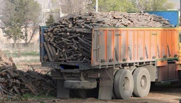 بیش از 89 تن چوب قاچاق در مهاباد کشف شد