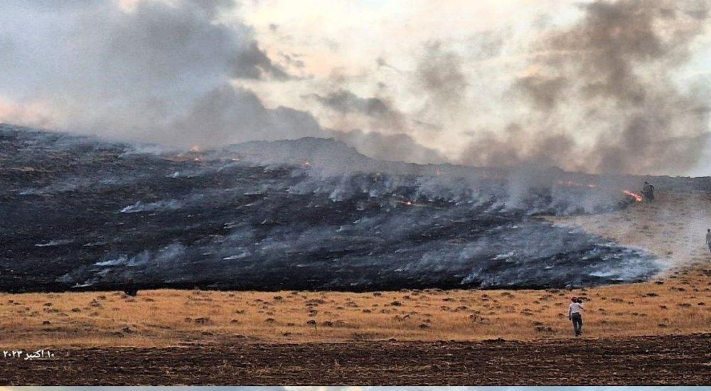 ۱۳۰هکتار از مراتع بوکان در آتش سوخت