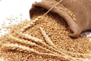 زکات پیوند دین اقتصاد و عدالت اجتماعی است