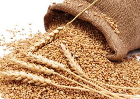 زکات پیوند دین، اقتصاد و عدالت اجتماعی است