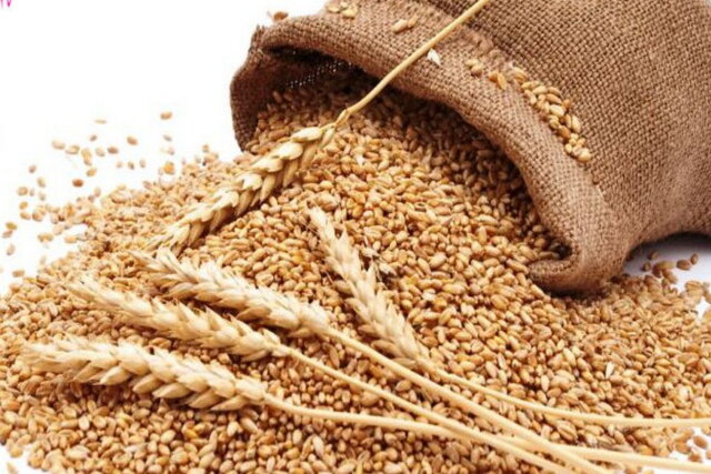 زکات پیوند دین، اقتصاد و عدالت اجتماعی است