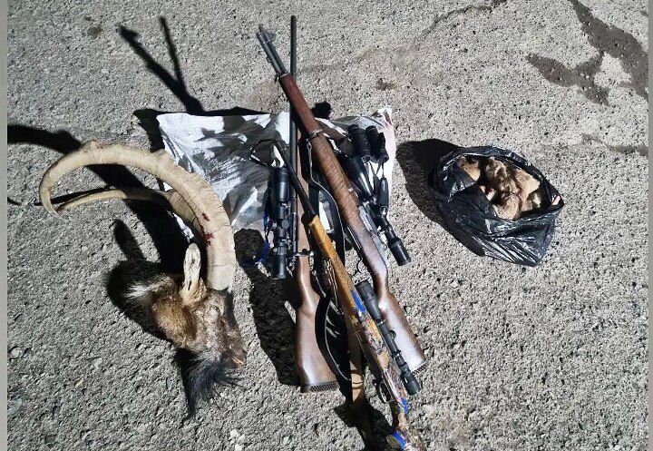 دستگیری شکارچیان غیرمجاز در پلدشت