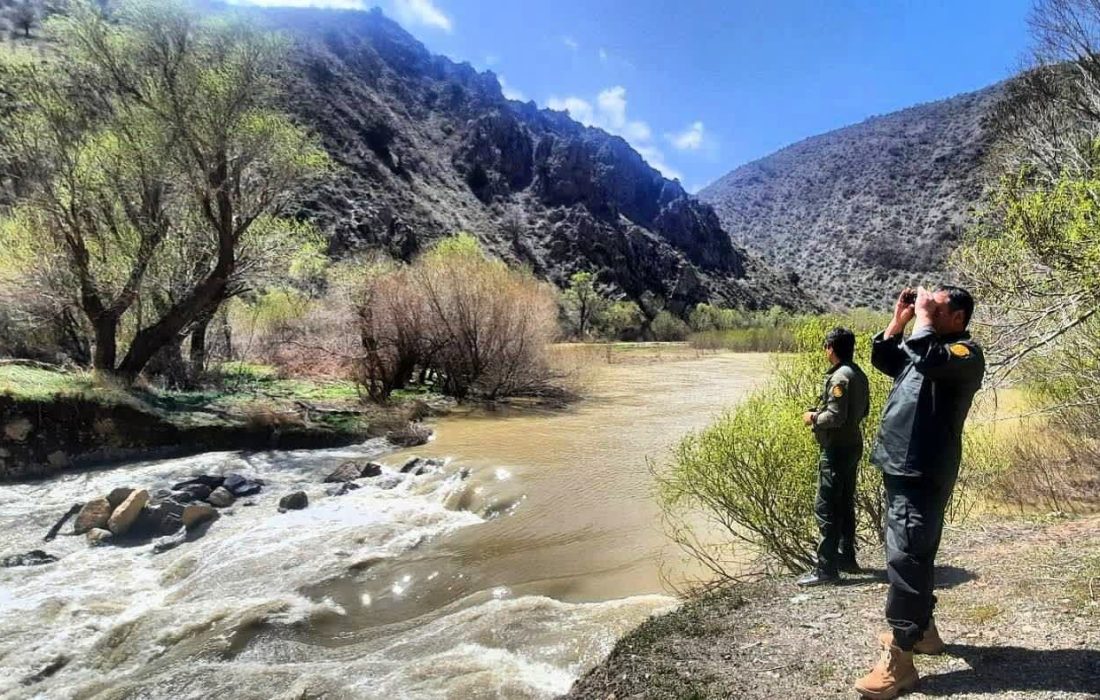 پایش مستمر آنفلوآنزای پرندگان در زیستگاههای آبی ارومیه