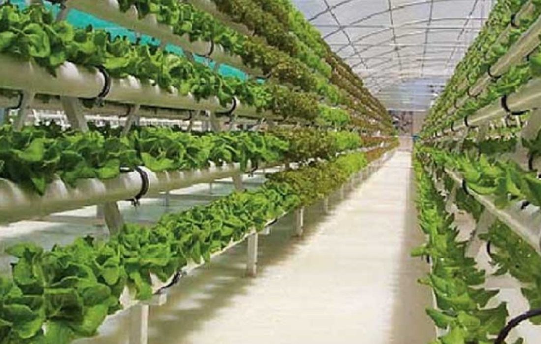 توسعه کشاورزی نوین با کشت هیدروپونیک در ارومیه
