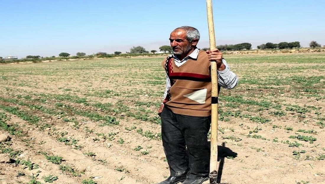 ۶۰ درصد معیشت آذربایجانغربی وابسته به کشاورزی است