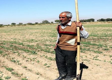 ۶۰ درصد معیشت آذربایجان‌غربی وابسته به کشاورزی است