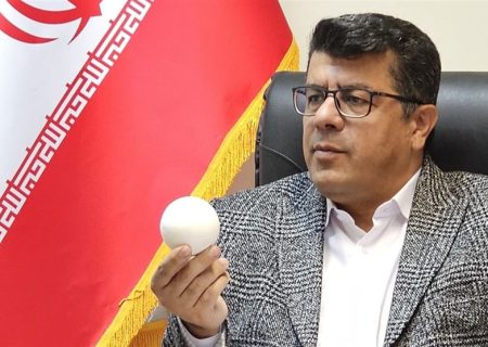 سرمربی تیم ملی چوگان استعفا نکرده است