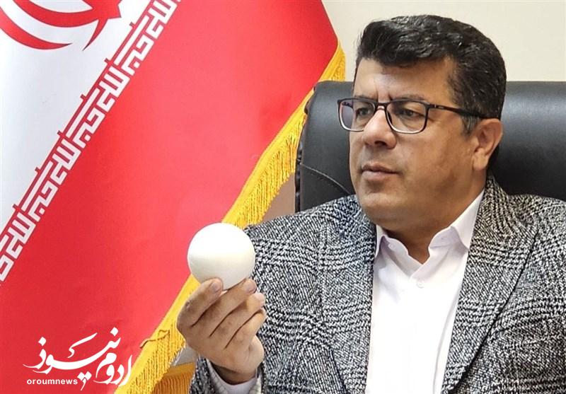 سرمربی تیم ملی چوگان استعفا نکرده است