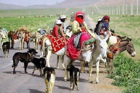 شبکه آب‌رسانی قشلاقات عشایر در خوی توسعه می‌یابد