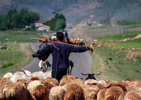 کمبود آب چالش جدی عشایر آذربایجان‌غربی است