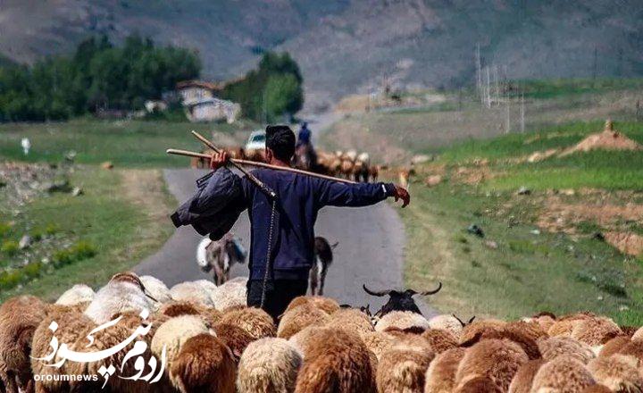 کمبود آب چالش جدی عشایر آذربایجانغربی است