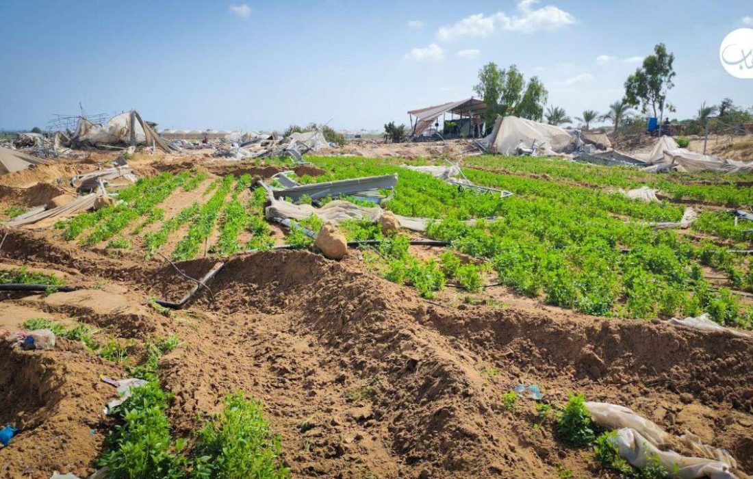 ساختوساز بیرویه نفس زمین را گرفت