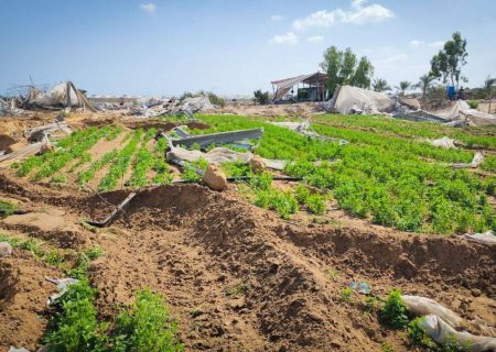 ساخت‌وساز بی‌رویه نفس زمین را گرفت