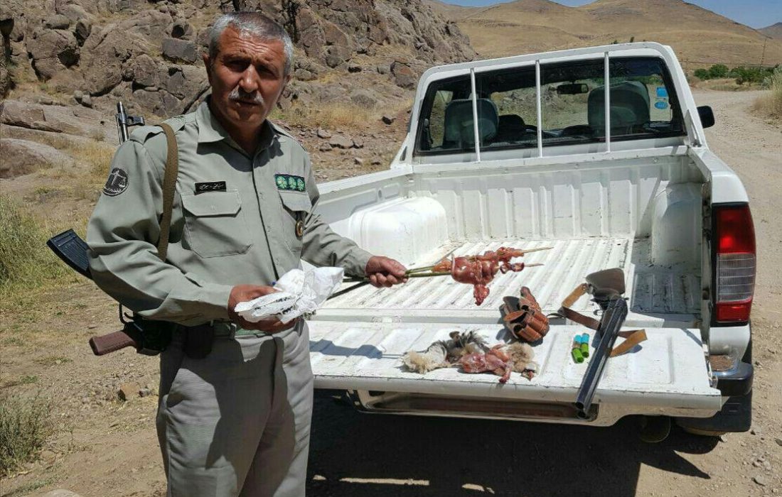 کشف دام زندهگیری کبک در وترشوکاوی شاهیندژ