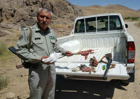 کشف دام زنده‌گیری کبک در وترشوکاوی شاهین‌دژ