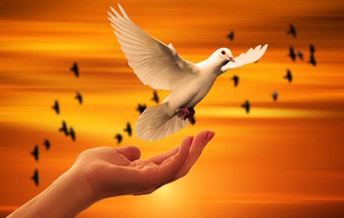 نزاع مرگبار در سلماس به صلح انجامید