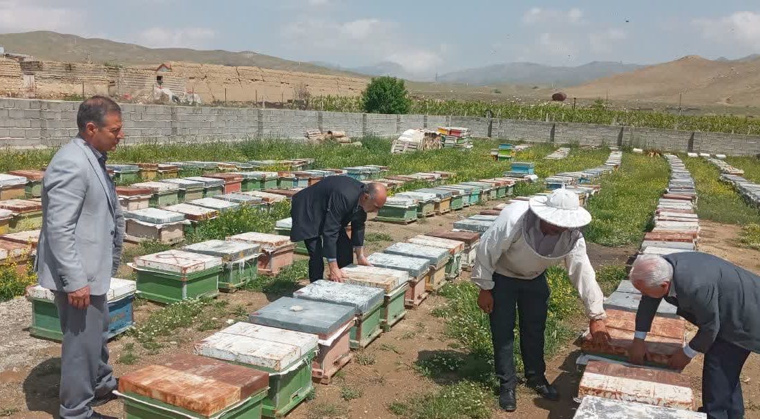 برخورد قاطع با عاملان تلفات زنبورهای عسل