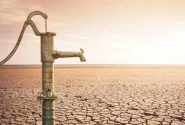 اصلاح الگوی کشت راهکار مدیریت مصرف آب است