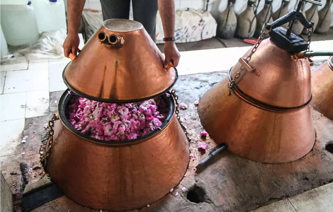 برگزاری جشنواره گلاب‌گیری در پلدشت