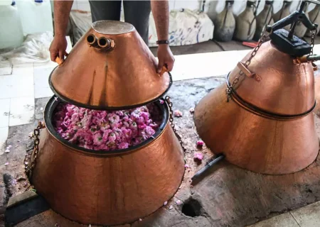 برگزاری جشنواره گلاب‌گیری در پلدشت