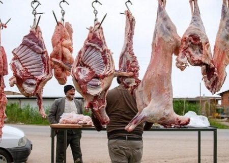 ذبح غیرمجاز دام تهدیدی جدی برای سلامت است