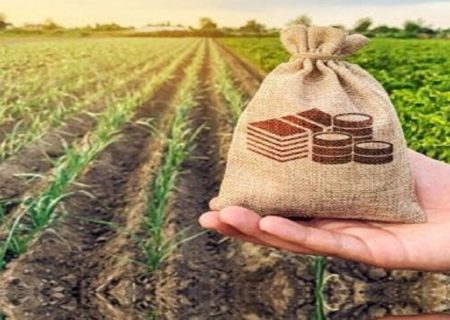 سرمایه‌گذاری کشاورزی آذربایجان‌غربی شتاب می‌گیرد