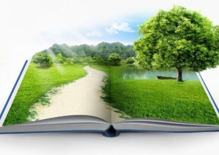 معلمان نقش بی‌بدیلی در حفاظت از محیط‌زیست دارند
