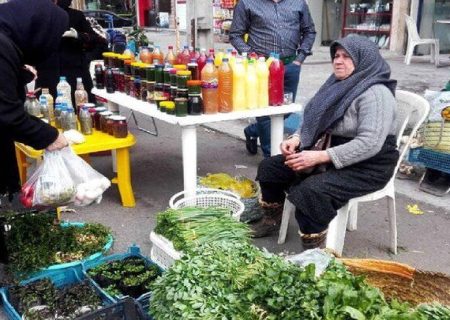 روستا بازار حمایت مستقیم از تولیدکنندگان محلی است