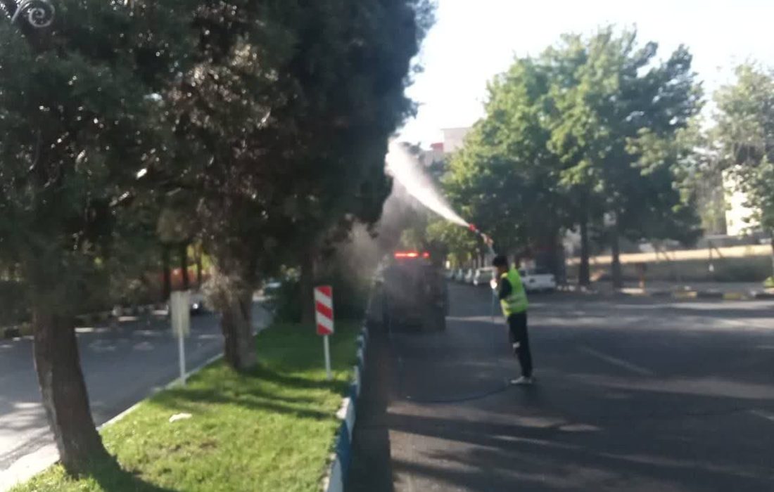 آغاز عملیات سمپاشی درختان برای مقابله با آفات