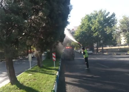 آغاز عملیات سم‌پاشی درختان برای مقابله با آفات