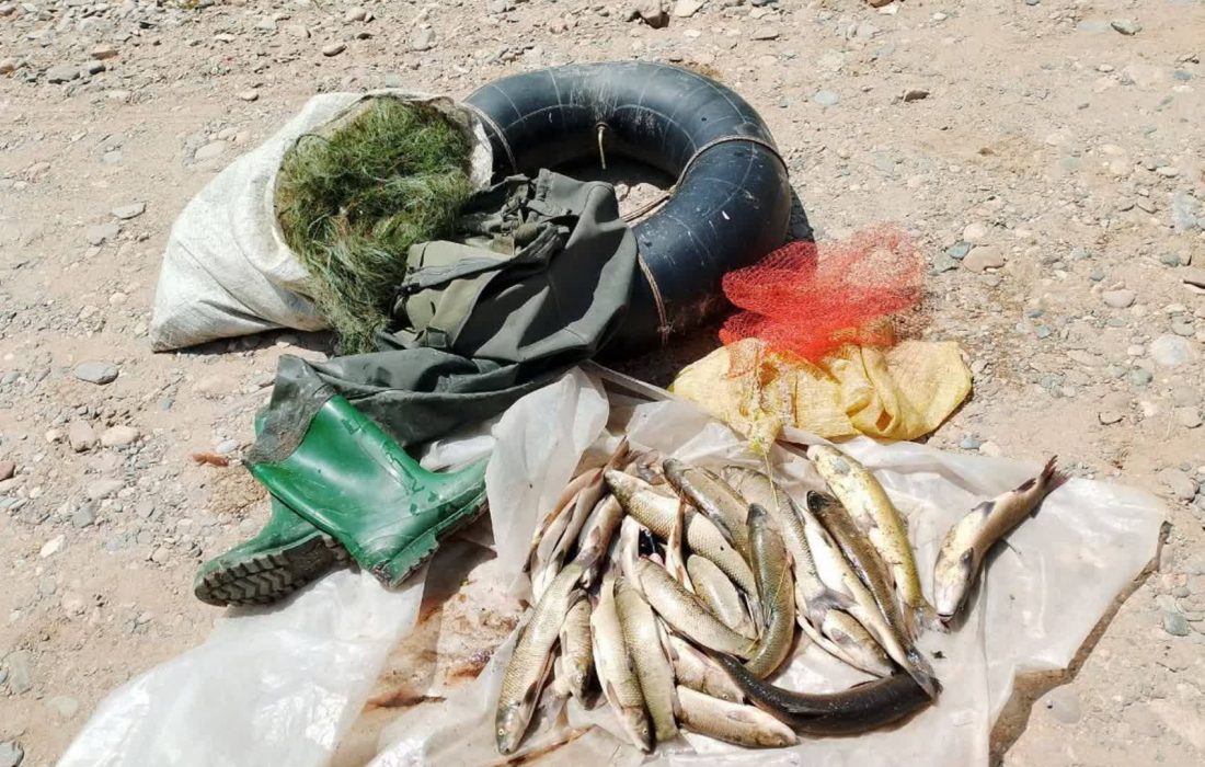 دستگیری صیاد متخلف در رودخانه زرینهرود