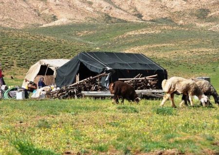 عشایر ستون اقتصاد مقاومتی کشور هستند