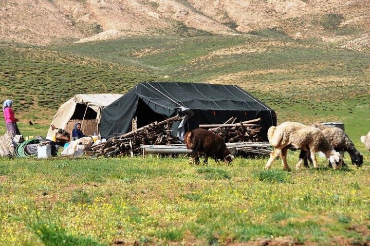عشایر ستون اقتصاد مقاومتی کشور هستند