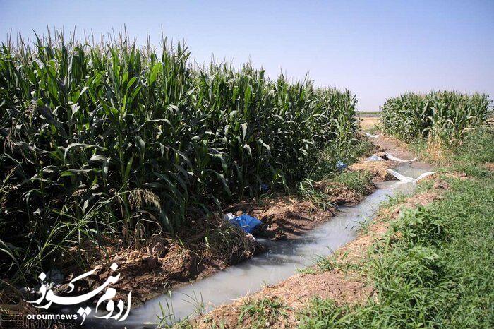 آبیاری با فاضلاب خام پیگیری قانونی میشود