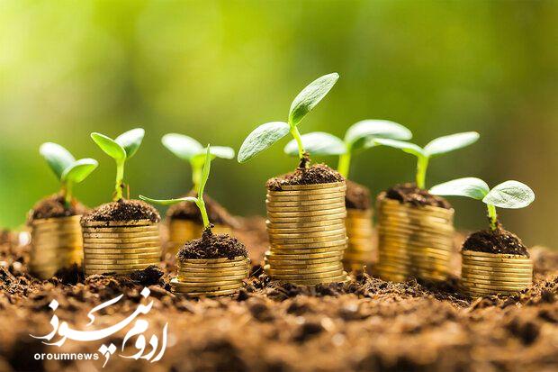 سرمایه صندوق کشاورزی آذربایجانغربی به ۱۱۵ میلیارد رسید