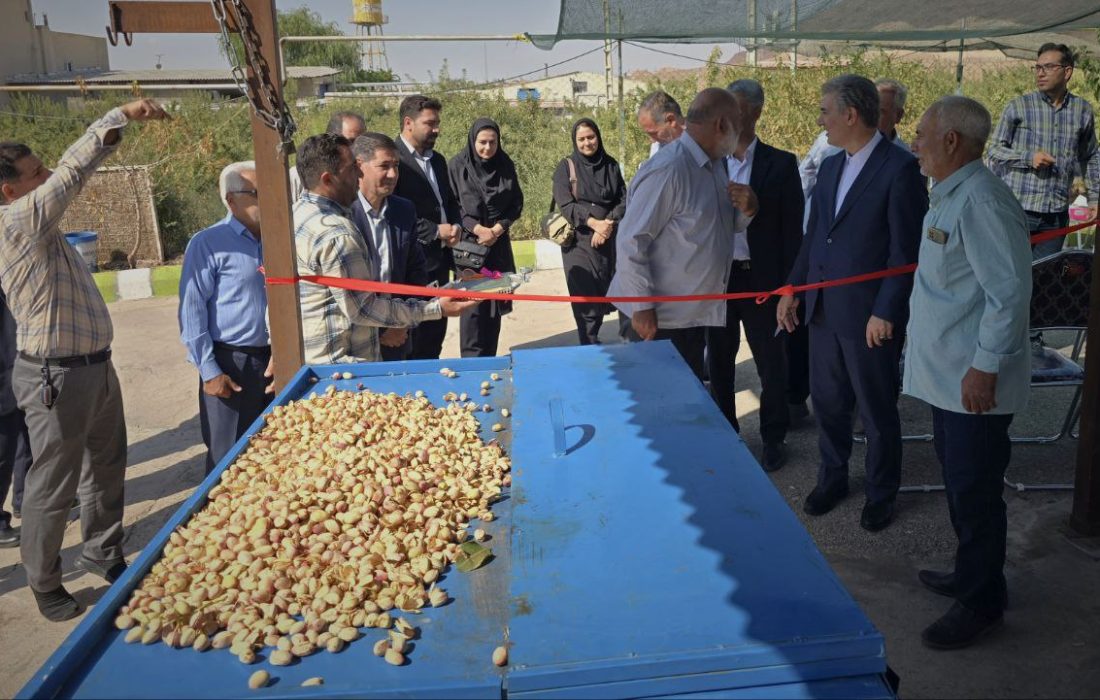 کشاورزی سلماس با رونمایی دستگاه پسته متحول شد