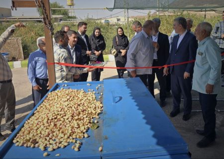 کشاورزی سلماس با رونمایی دستگاه پسته متحول شد