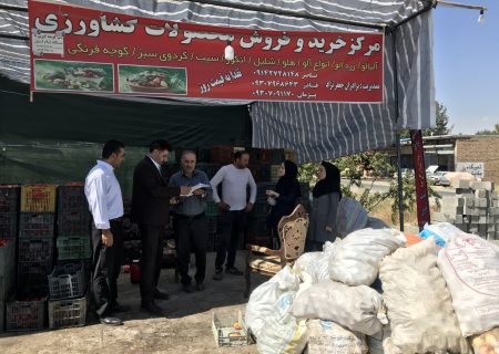 اخطار جدی به واحدهای غیرمجاز جمع‌آوری سیب