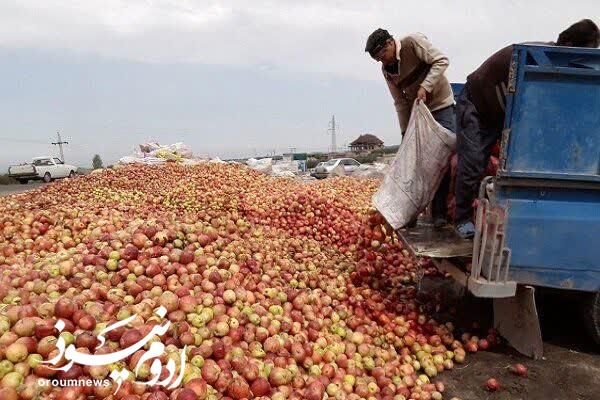 برخورد قانونی با جمعآوری غیربهداشتی سیبهای صنعتی