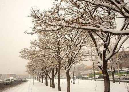 اشنویه رکورددار بیشترین بارش برف در آذربایجان‌غربی شد