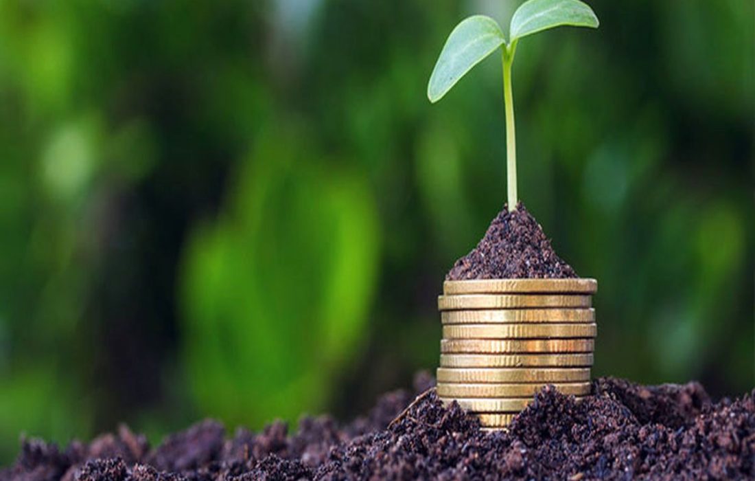 افزایش چشمگیر پوشش بیمه کشاورزی آذربایجانغربی