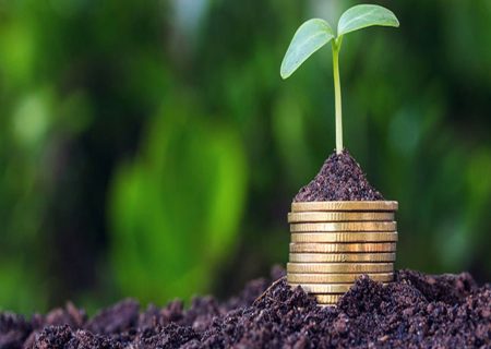 افزایش چشمگیر پوشش بیمه کشاورزی آذربایجان‌غربی