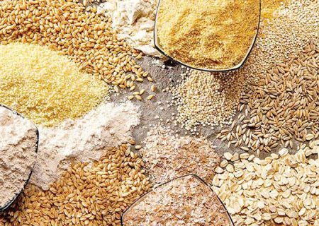 تقویت تولید نهاده‌های طیور در آذربایجان‌غربی