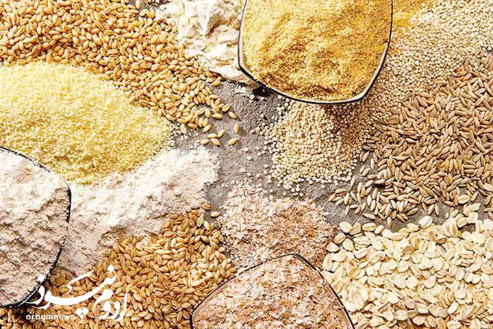 تقویت تولید نهادههای طیور در آذربایجانغربی