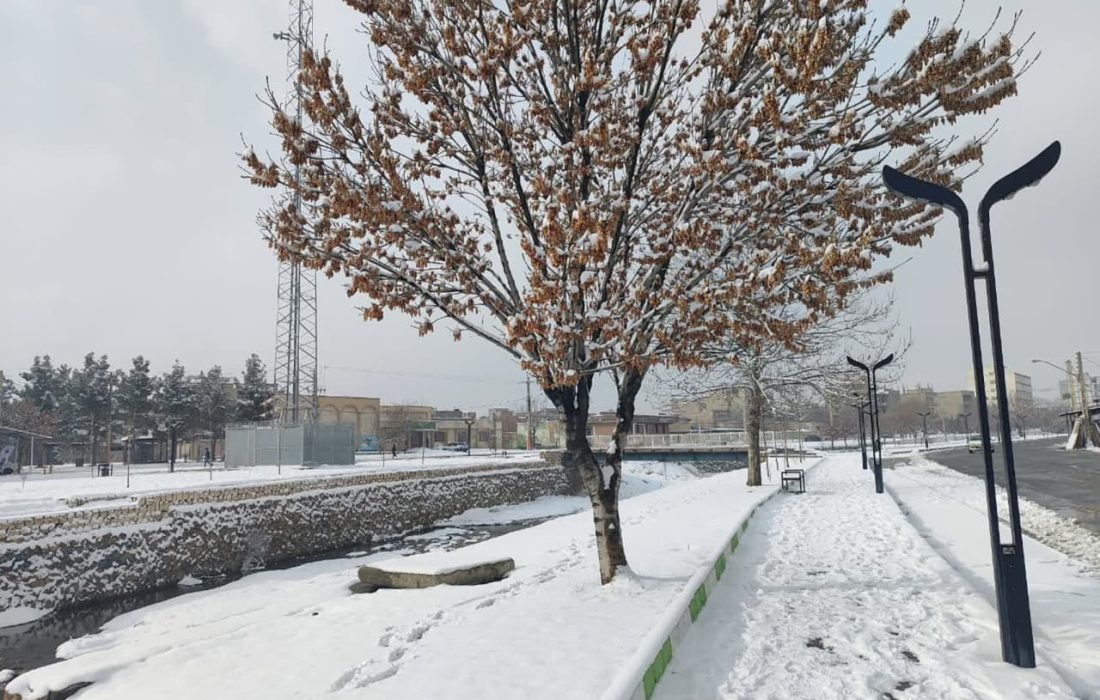 تصاویری زیبا از بارش برف در اشنویه