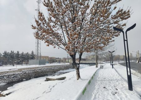 تصاویری زیبا از بارش برف در اشنویه