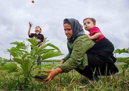 آذربایجان‌غربی در جذب بیمه زنان روستایی اول شد