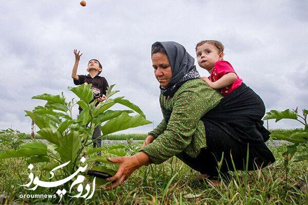 آذربایجانغربی در جذب بیمه زنان روستایی اول شد