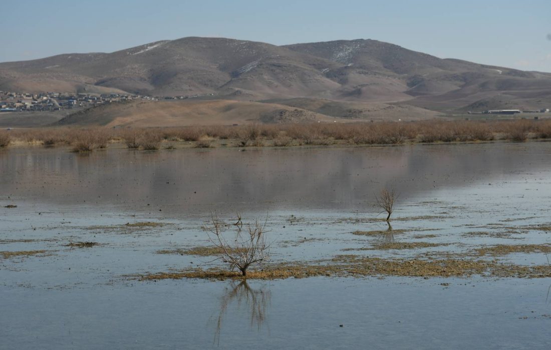 آغاز عملیات آبگیری تالاب بینالمللی قوپی باباعلی